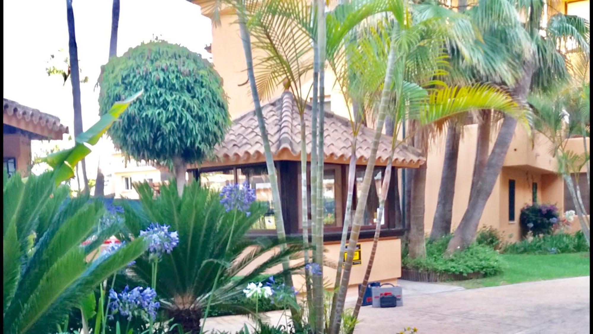 Apartamento - Alicate Beachfront - 6